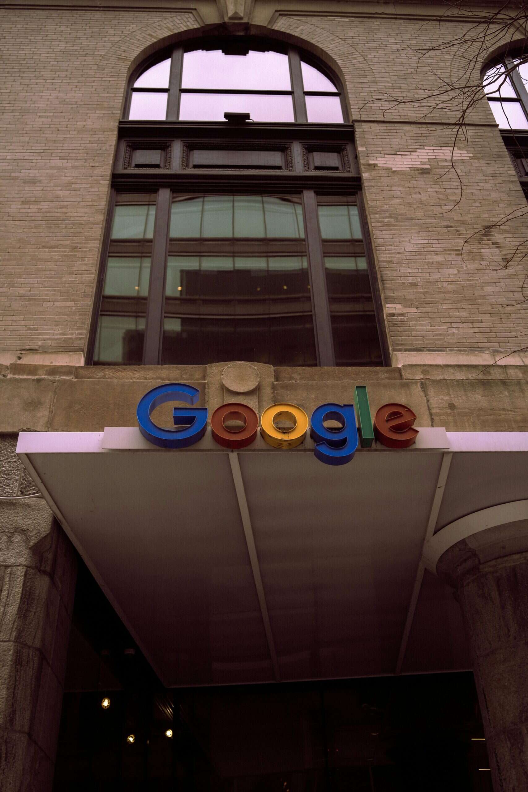 Ziedoes Google my business blog